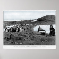 Shackleton in Antarctic Gramophone with Penguins