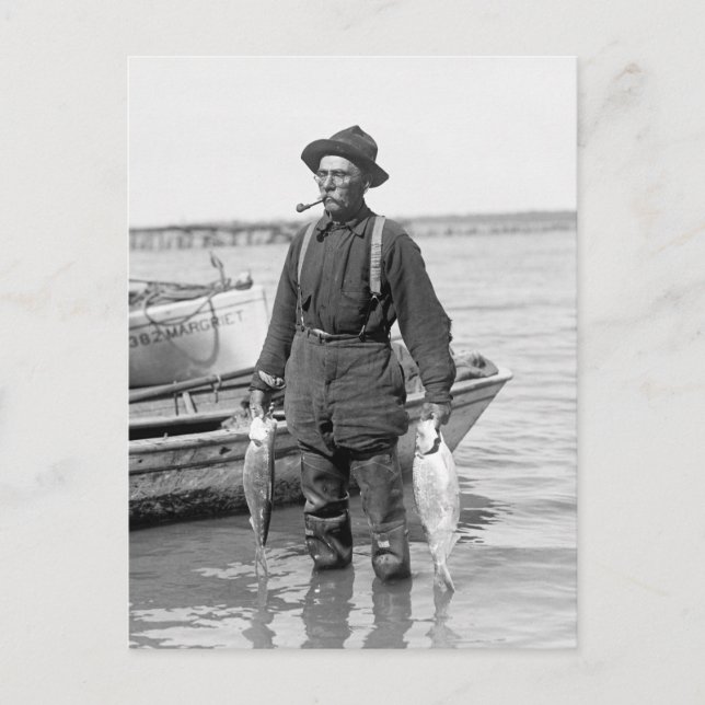 Shad Fishing, early 1900s Postcard (Front)