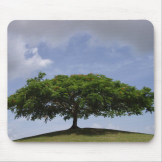 shade mouse pad