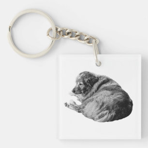 Shaded Rest Dog Inspires Gentle Winter Travels Keychain