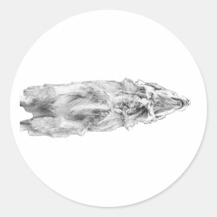 Shaded retriever, soft look classic round sticker