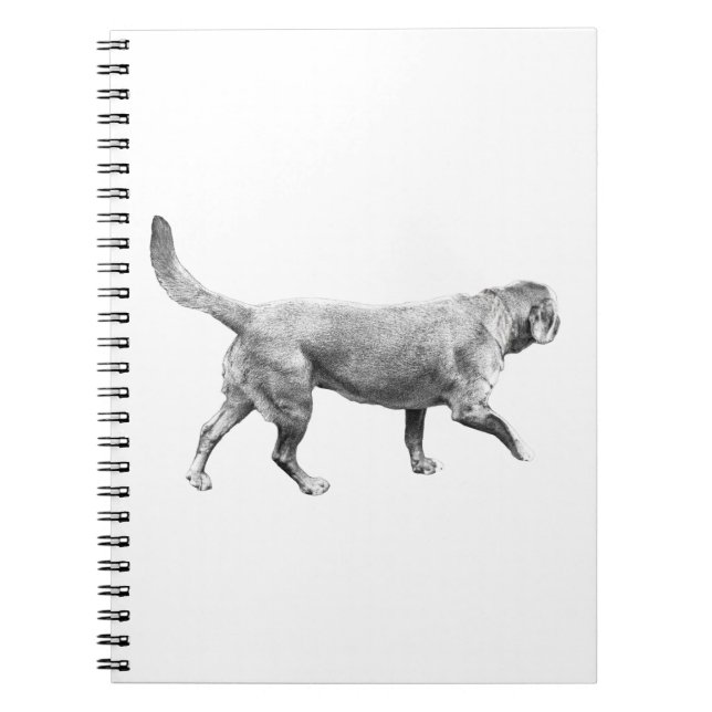 shadepath steady stride notebook (Front)