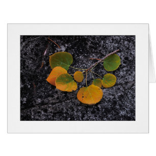 "Shades Of Autumn"