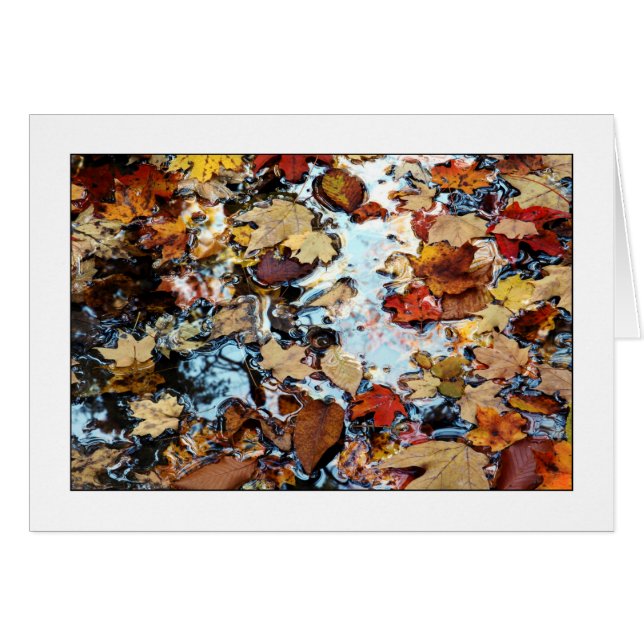 Shades Of Autumn (Front Horizontal)