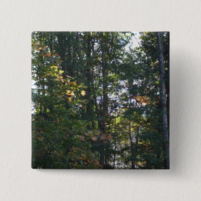 Shades of Autumn Trees 2 Inch Square Button (Front)