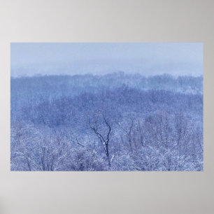 Shades of Blue Poster