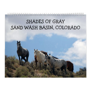 Shades of Gray Sand Wash Basin, Colorado Calendar