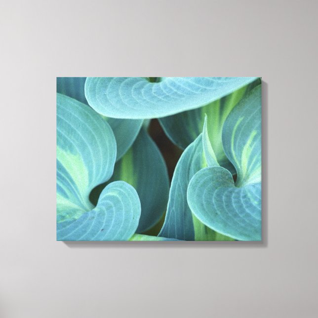 Shades of Green Canvas Print (Front)