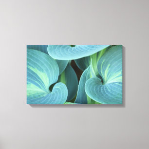 Shades of Green Canvas Print