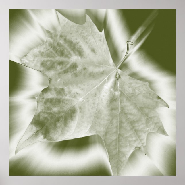 shades of green poster (Front)