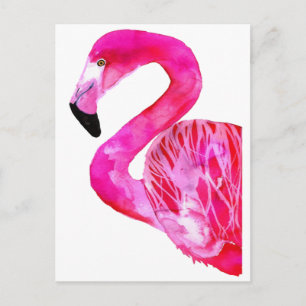 SHADES OF PINK POSTCARD