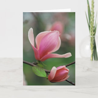 Shades of Spring Greeting Card