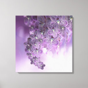Shades of Violet Purple Orchids Canvas Print