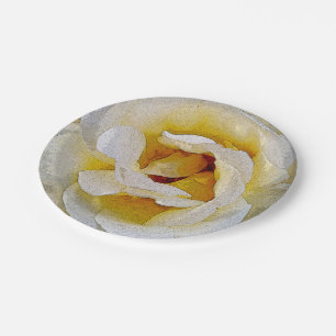 shades of white to yellow paper plate