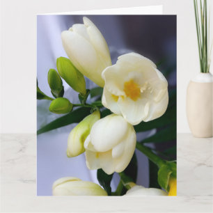 Shades of yellow on white freesia card