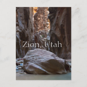 Shadow and light in the Narrows Postcard