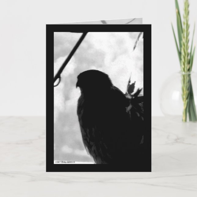 Shadow Hawk Card (Front)