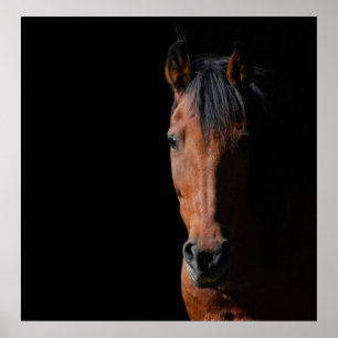 Shadow Horse Poster
