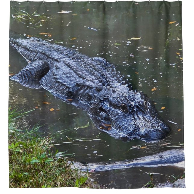 Shadow in the Shallows (Front)