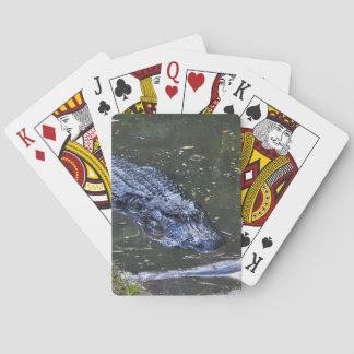 Shadow in the Shallows Playing Cards