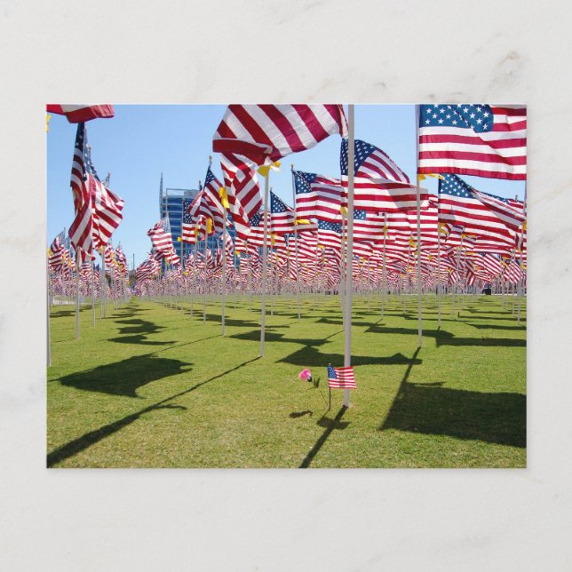 Shadow Of A Cross Postcard (Front)