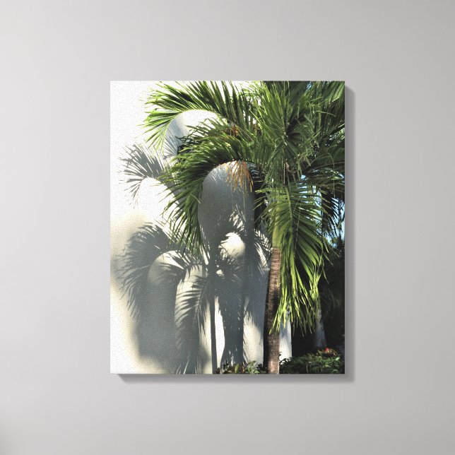 shadow of palm canvas print (Front)