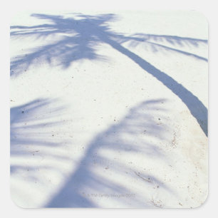 Shadow of Palm Tree 2 Square Sticker