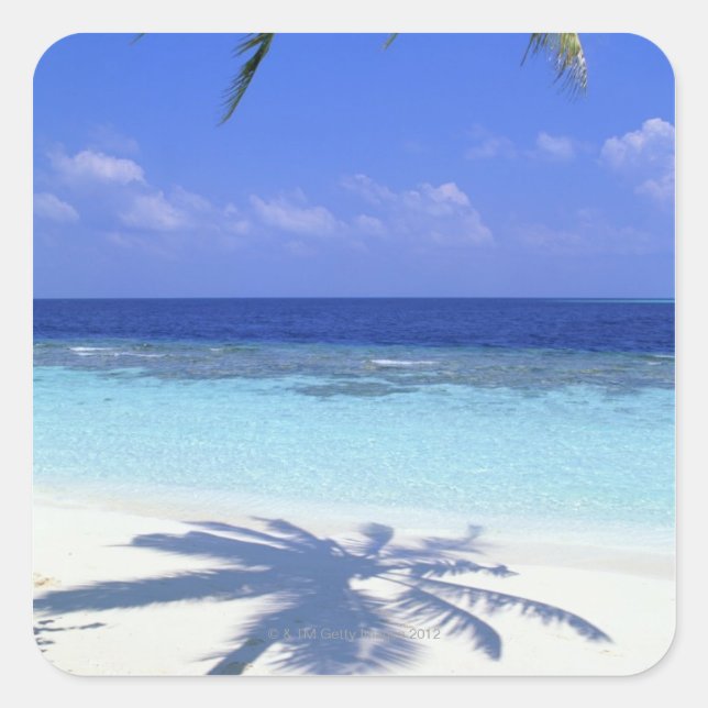 Shadow of Palm Tree Square Sticker (Front)