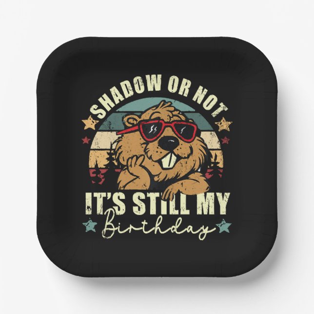 shadow or not it's still my birthday paper plate (Front)