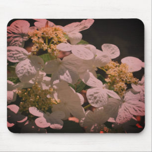 Shadows And Light Lacecap Hydrangea Flower Mouse Pad