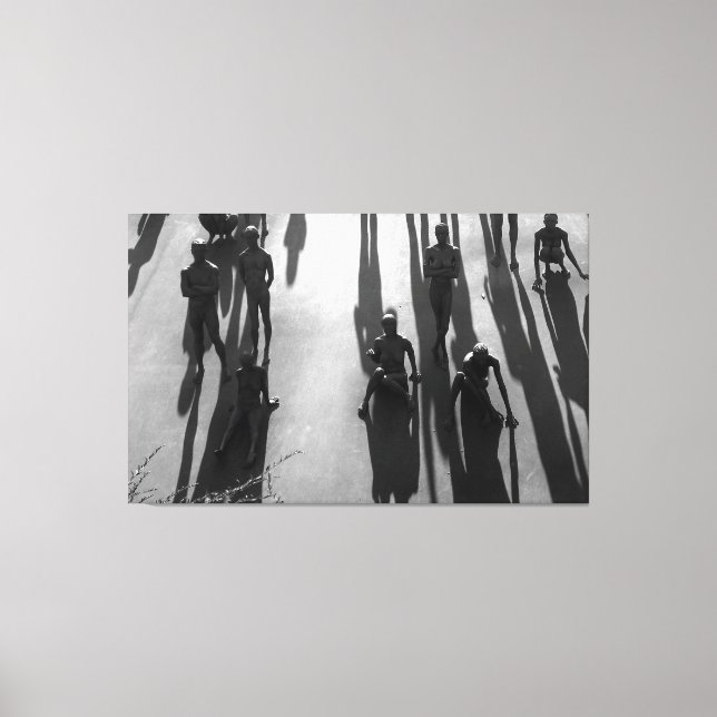 Shadows Canvas Print (Front)