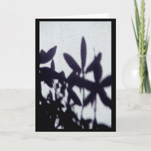 Shadows Card