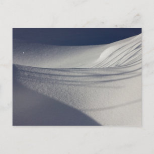 Shadows on untouched snow CC0098 Postcard