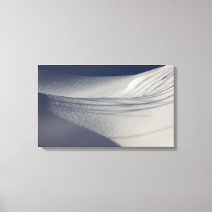Shadows on untouched snow CC0099 Canvas Print