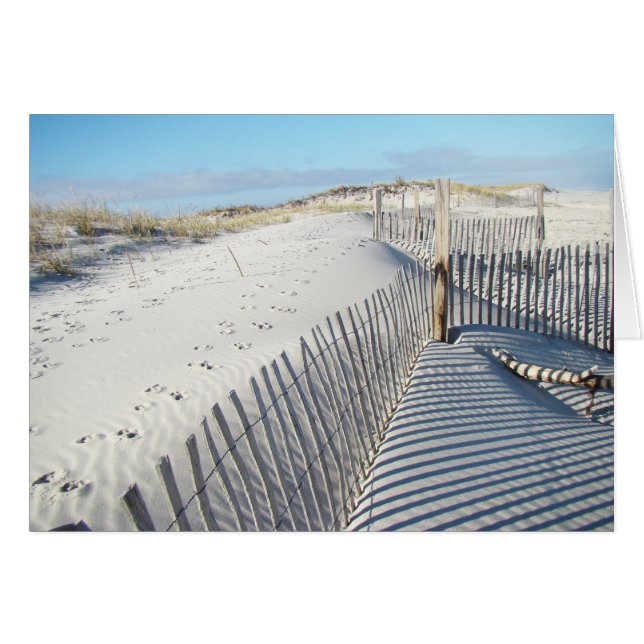 Shadows, Sand Dunes, and Fences (Front Horizontal)