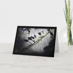 Shadows - Sympathy Cards