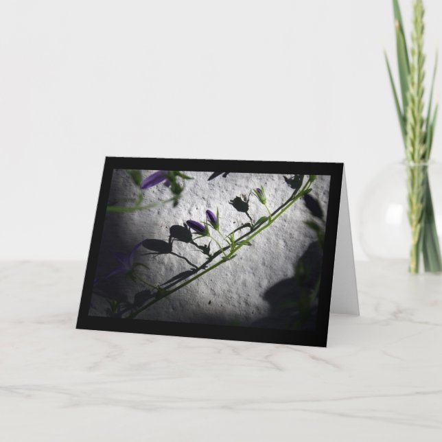 Shadows - Sympathy Cards (Front)