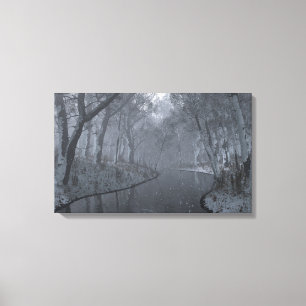 Shady Creek (Winter) Canvas Print