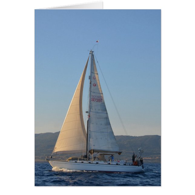 Shady Lady In The Early Morning (Front)