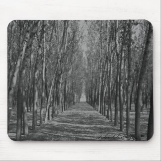 Shady way mouse pad