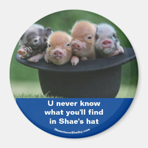 Shae's hat magnet