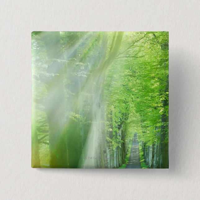 Shafts of Sunlight 2 Inch Square Button (Front)