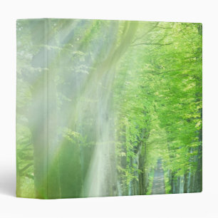 Shafts of Sunlight Binder
