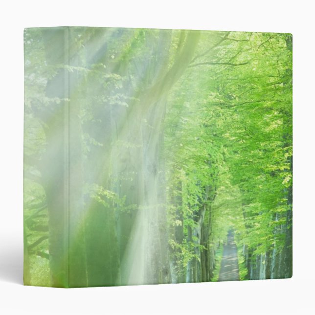 Shafts of Sunlight Binder (Front/Spine)