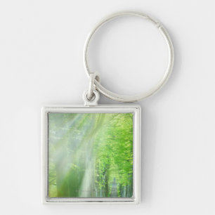 Shafts of Sunlight Keychain