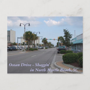 Shaggin on Ocean Drive Postcard