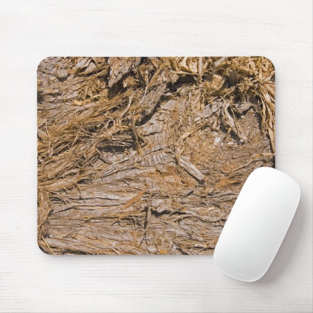 Shaggy Bark Juniper Photograph Mouse Pad (With Mouse)