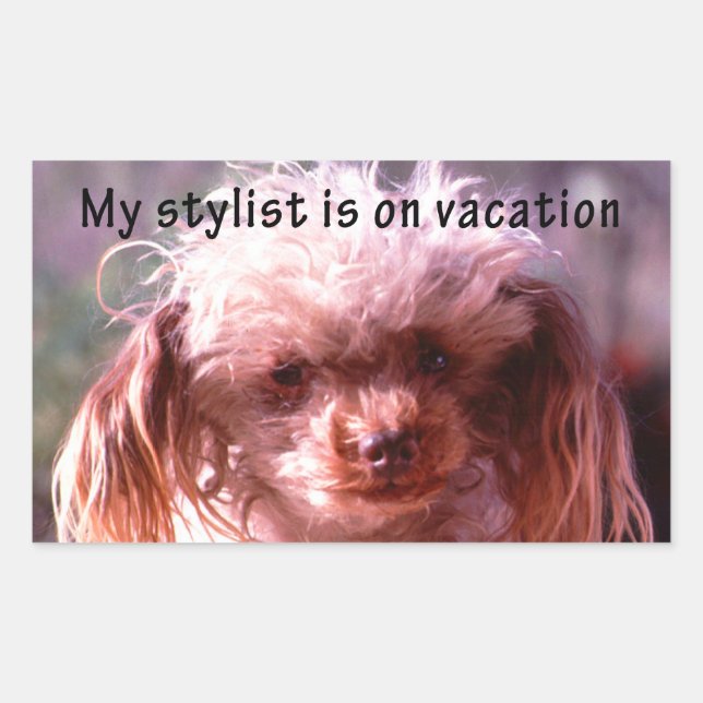 Shaggy Hair Dog Sticker (Front)