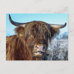 Shaggy Highland Beef Cow Oil Painting Postcard