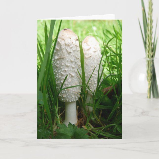 "Shaggy Ink Cap" Card (Front)